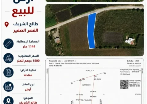 Terrain à Vendre avec Belle Vue – Talaa Chrif, Ksar El Sghir (1 144 m²)