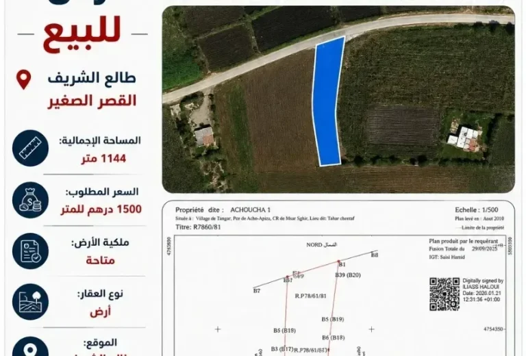 Terrain à Vendre avec Belle Vue – Talaa Chrif, Ksar El Sghir (1 144 m²)