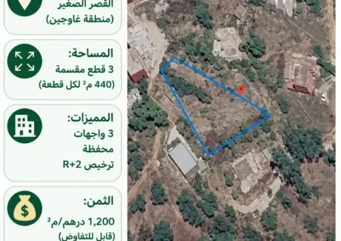 Terrain Titré à Vendre Divisé en 3 Lots (3 Façades, Zonage R+2) – Ksar El Sghir, Zone Ghaoujin (1320 m²)