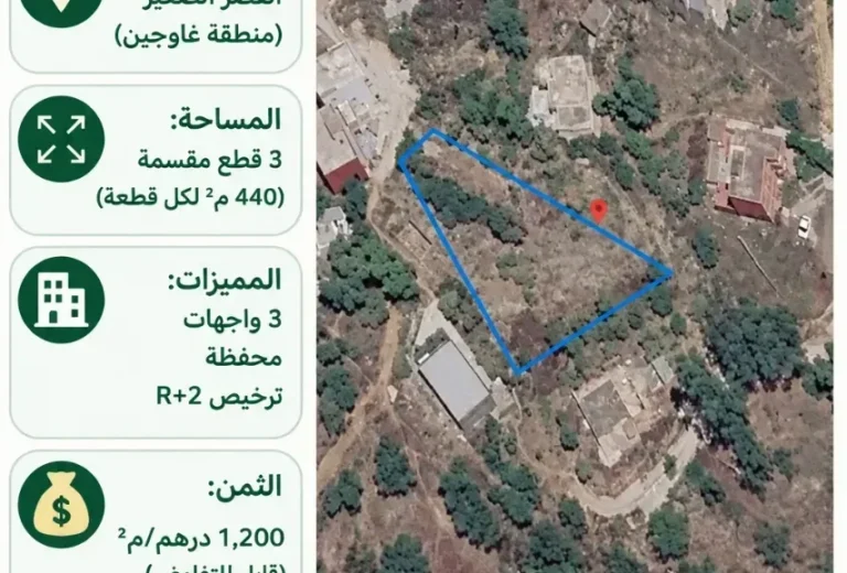 أرض محفظة للبيع مقسمة إلى 3 قطع بـ 3 واجهات وتصريح R+2 – القصر الصغير (منطقة غاوجين) (1320 م²)