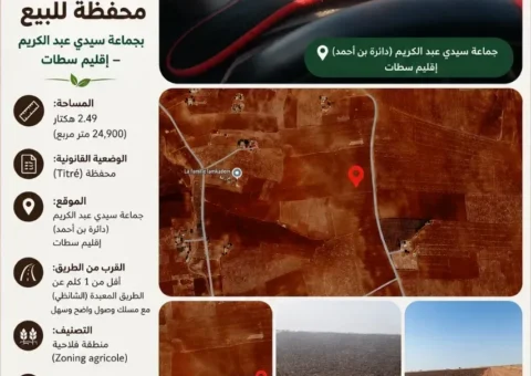 Terrain Agricole Titré à Vendre (2,49 Hectares) – Sidi Abdelkrim, Settat