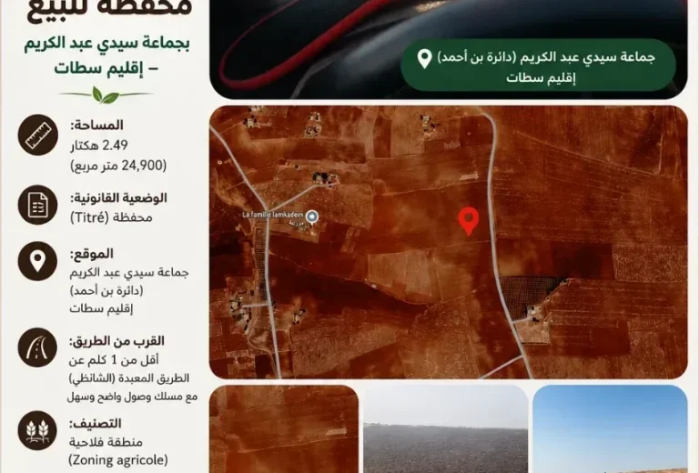 Terrain Agricole Titré à Vendre (2,49 Hectares) – Sidi Abdelkrim, Settat