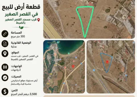 Terrain Stratégique à Vendre (2 Façades) Près de la Mosquée & N16 – Ksar El Sghir (300 m²)