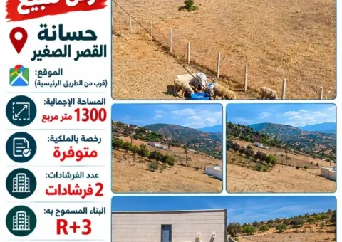 Terrain à vendre à Hssana, El Ksar Sghir - 1300 m² (R+3)