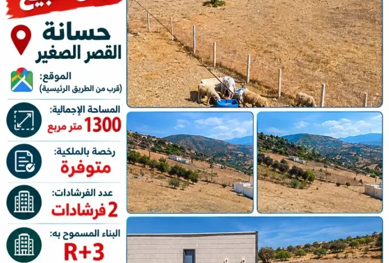Terrain à vendre à Hssana, El Ksar Sghir - 1300 m² (R+3)