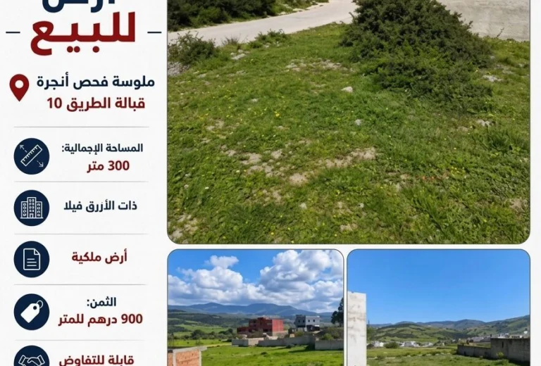 Terrain à vendre à Melloussa, Fahs Anjra - 300 m² (Zone Villa)